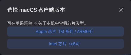 macOS 下载弹窗中的 Apple 芯片和 Intel 芯片选项