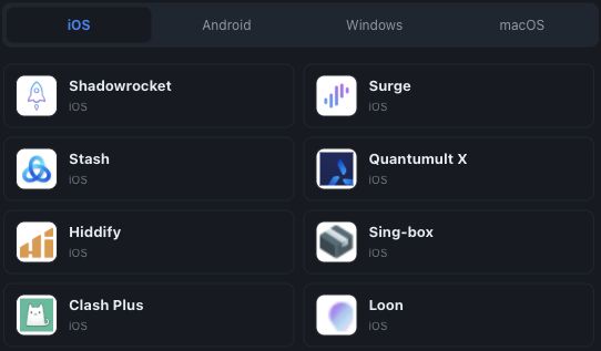 网站一键导入面板中选中 iOS，并显示 Hiddify 选项